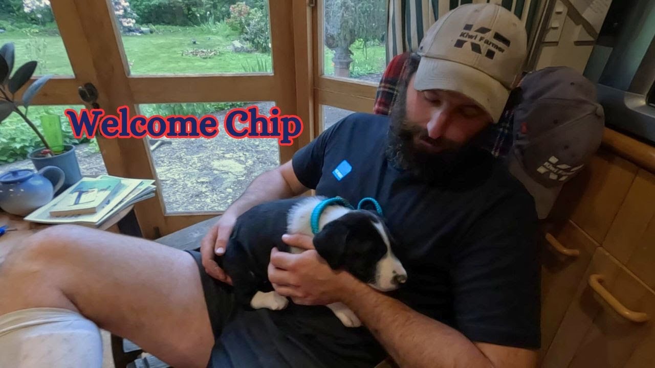 Exciting...New Pup Time