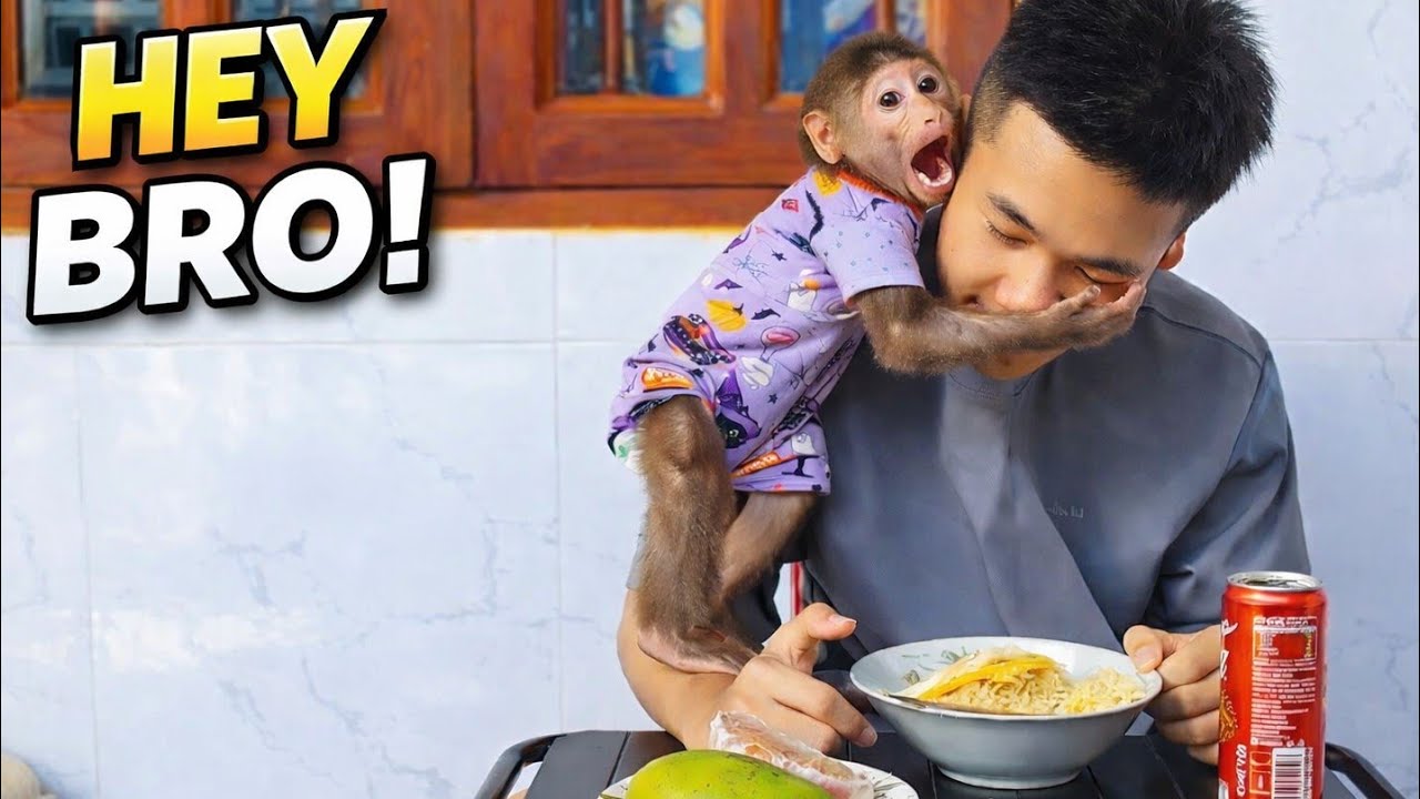 This Baby Monkey Thinks His Brother & Dad Are His Real Family… 😭🐒