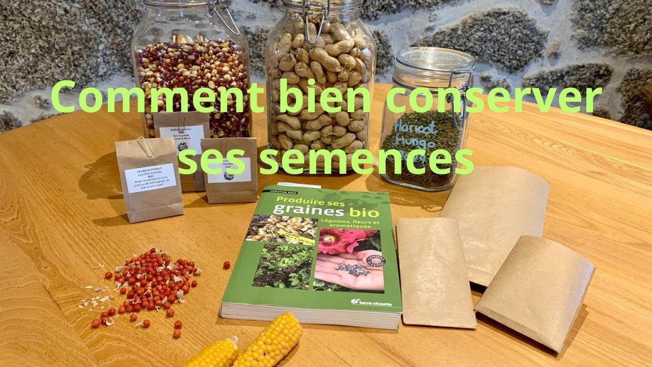Comment bien conserver ses semences