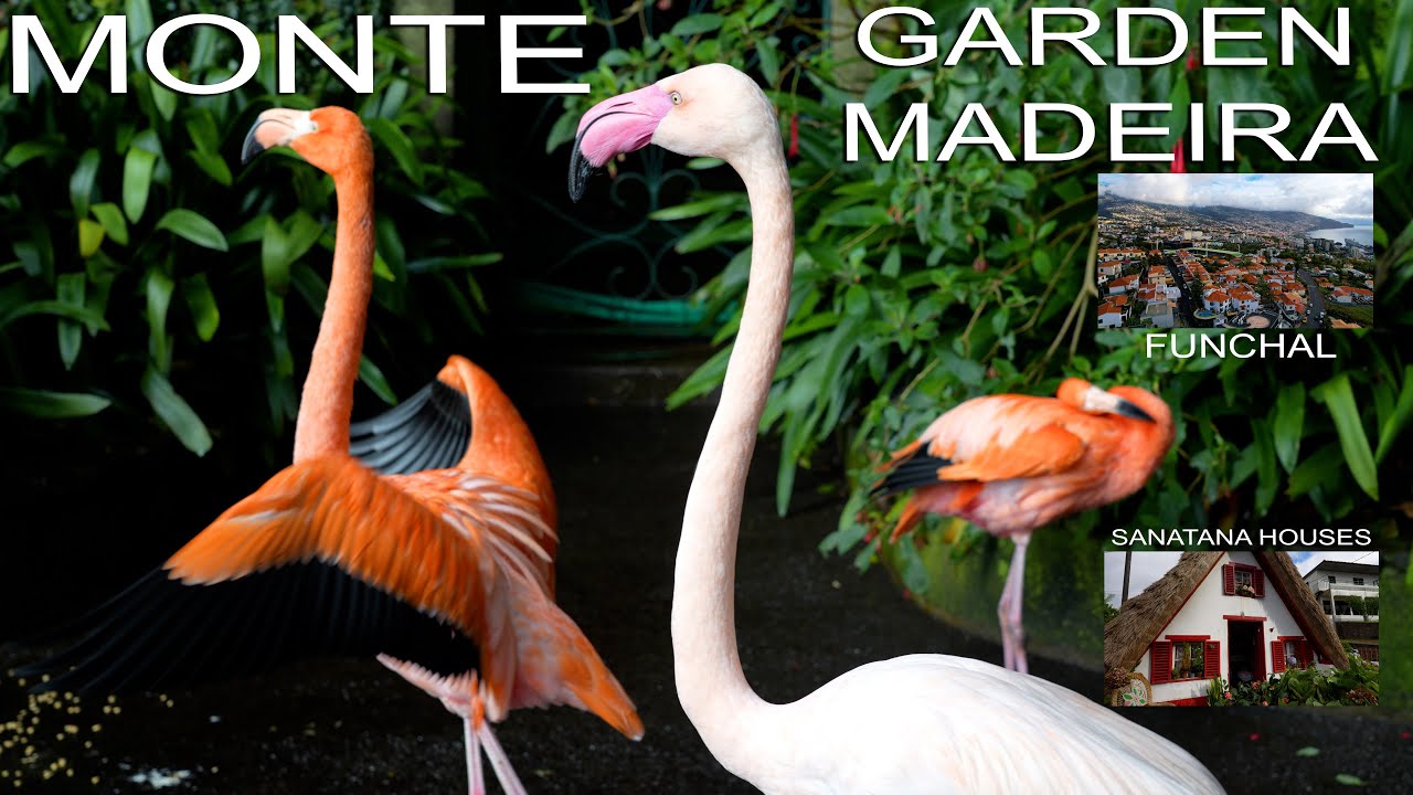 #72 Monte Palace Madeira - Tropical Garden, Funchal and amazing Santana Houses - step by step guide