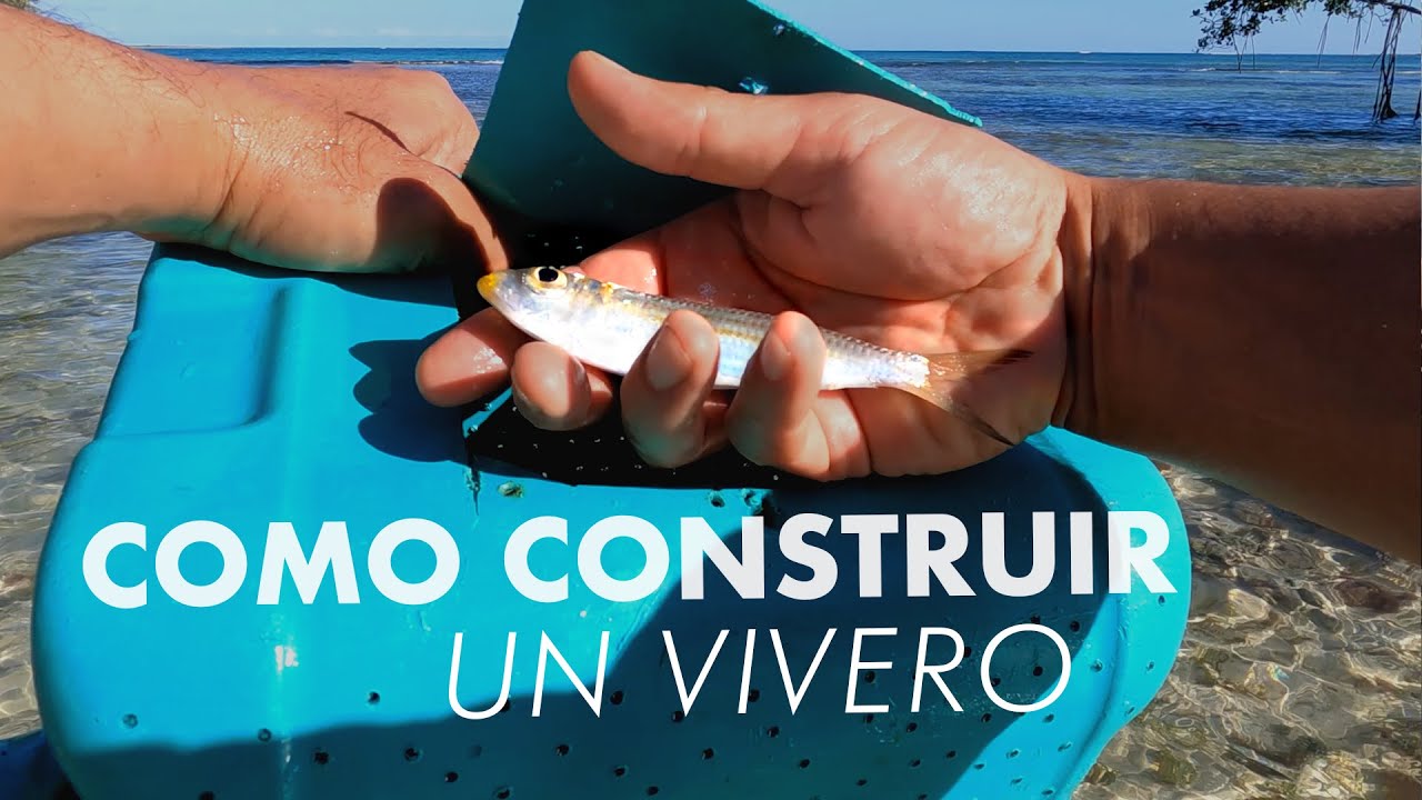 Como fabricar vivero  para Pesca - Carnada viva pesca