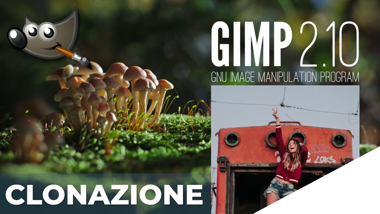 Corso Gimp 2.10 ep. 8: Rimuovere imperfezioni dalle foto + installazione plugin [Tutorial Ita]