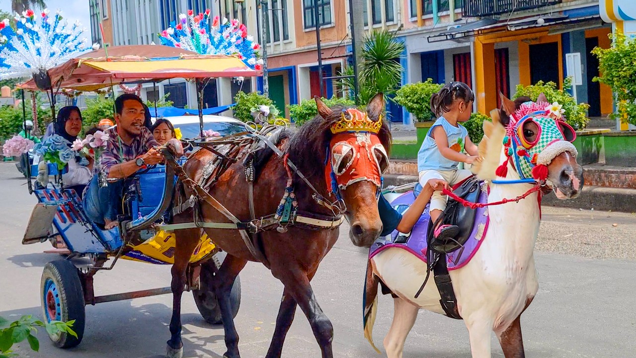 NAIK DELMAN ISTIMEWA 🐎 LAGU ANAK ANAK - KUDA DELMAN