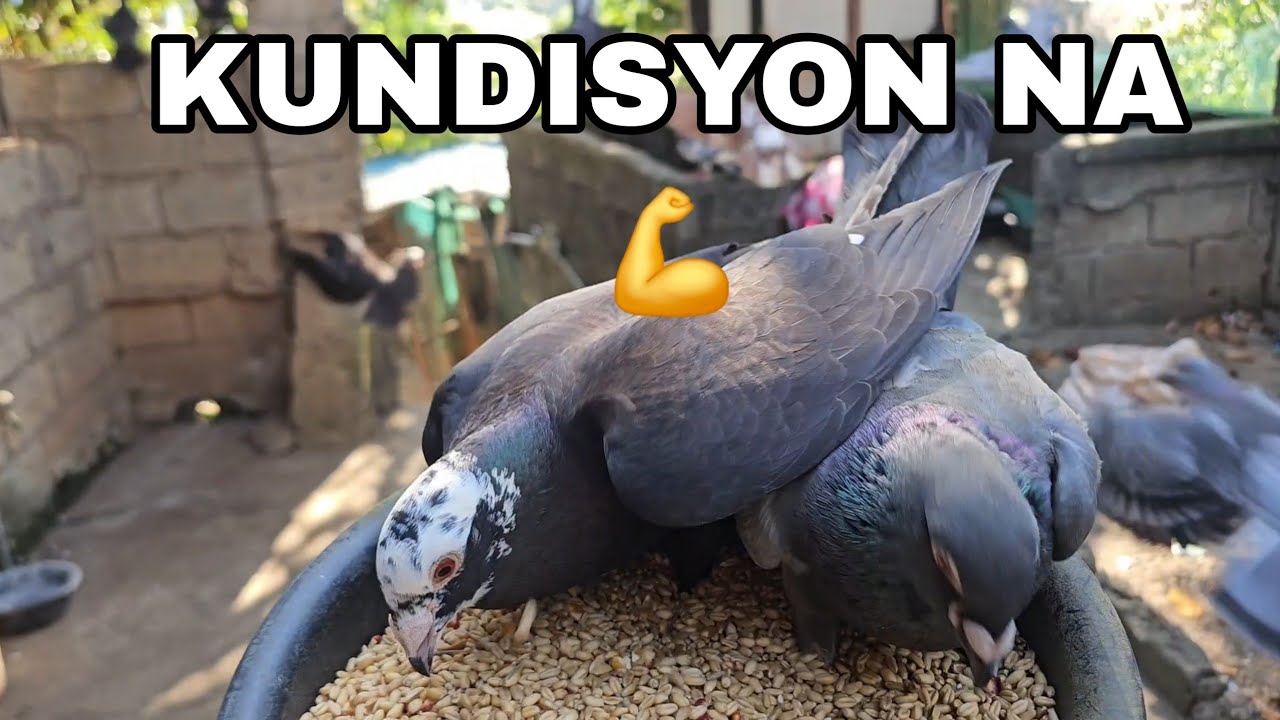PATUKA