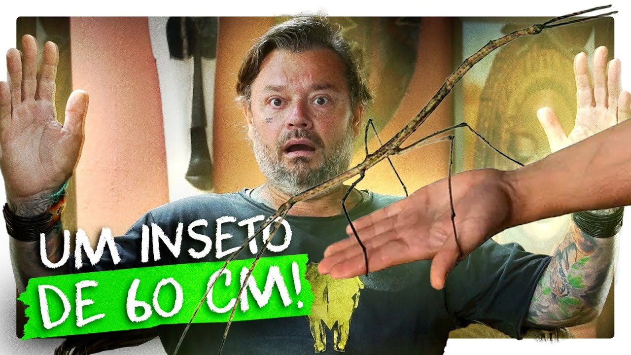 QUERO UM PRA MIM! MAIOR INSETO DO MUNDO ENCONTRADO! | RICHARD RASMUSSEN