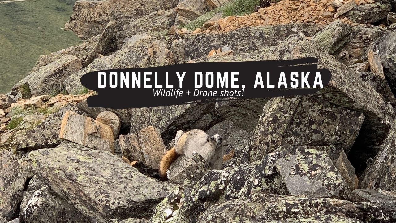 Exploring Donnelly Dome, Alaska