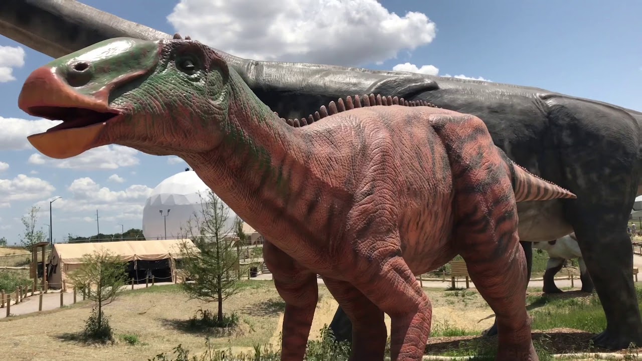 Field Station: Dinosaurs - Derby, Kansas