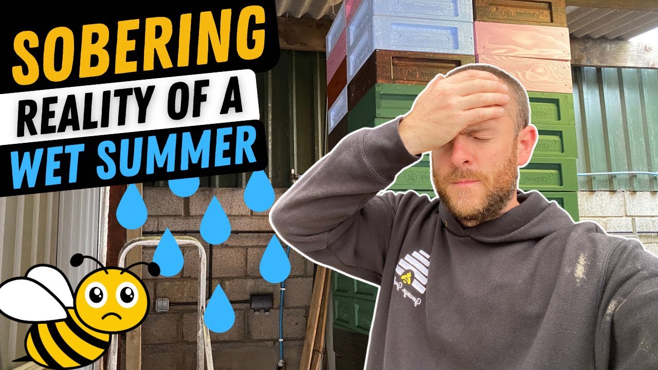 Reality Of A Poor Summer Honey Crop...