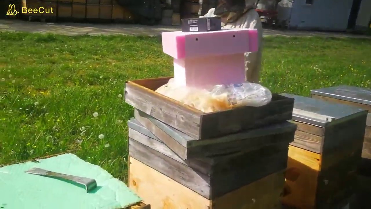 Zimmer Zoli válaszol 2020.05.02.