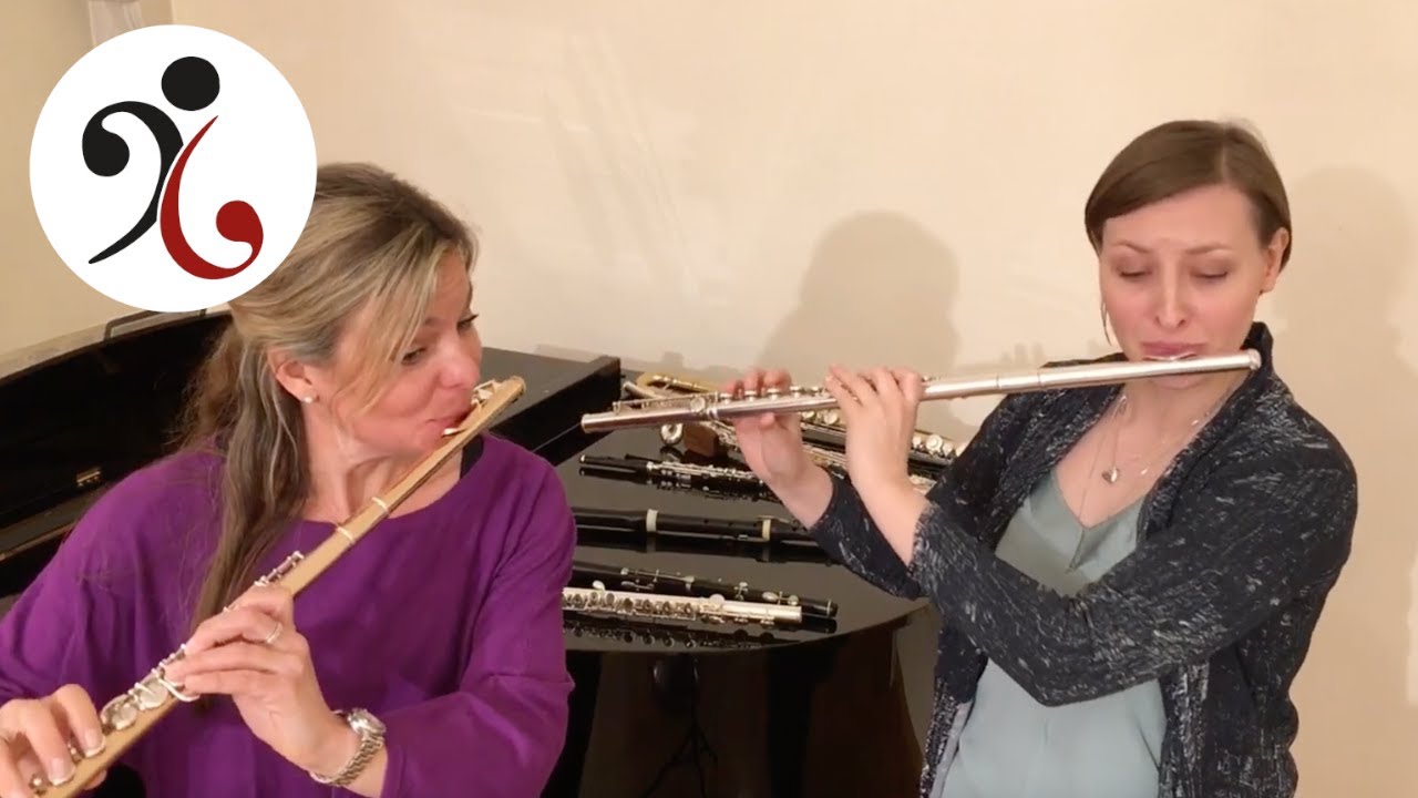 Querflöte.... Lehrer*innen der Musikschule Wr. Neudorf stellen sich vor