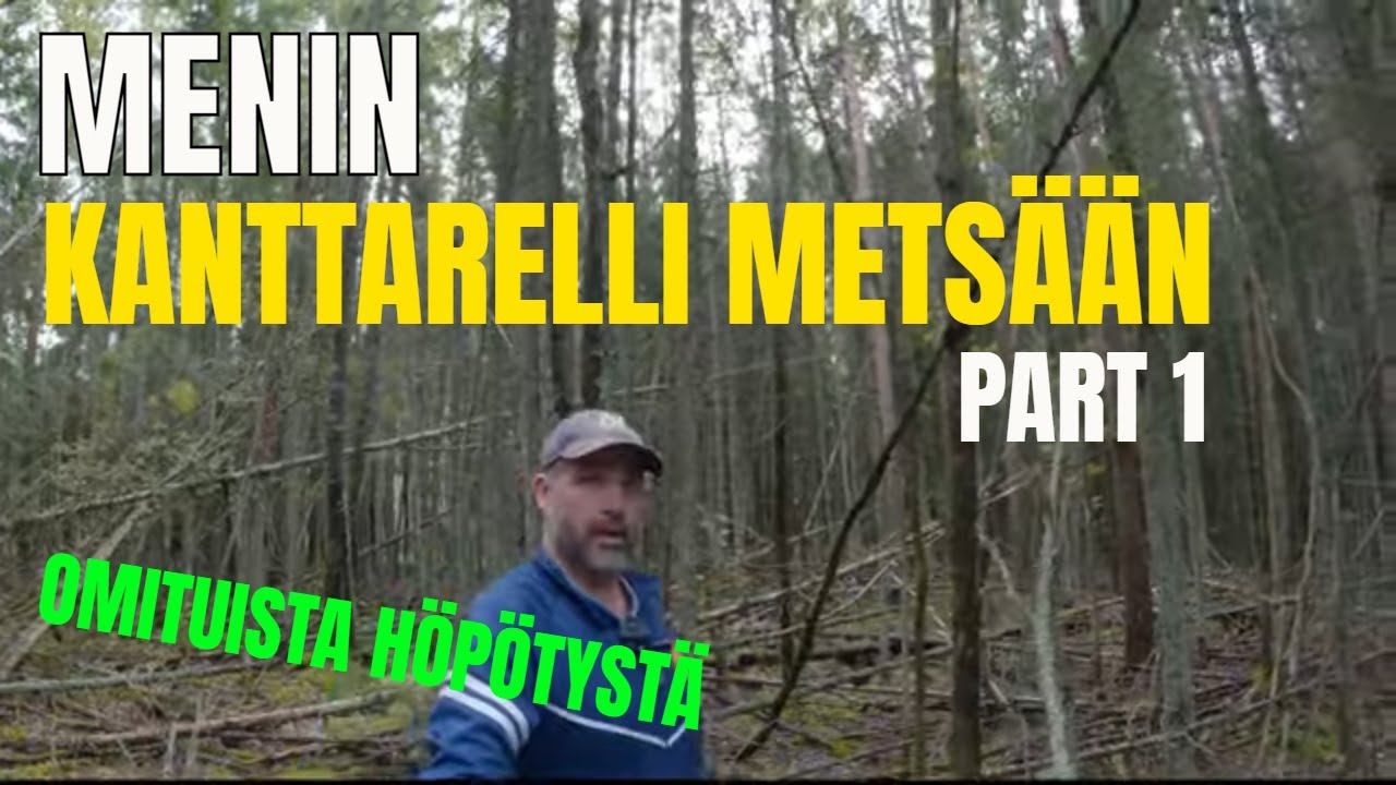 Sienimetsä seikkailu  part 1 Picking YELLOW MUSHROOMS adventures Finland forest