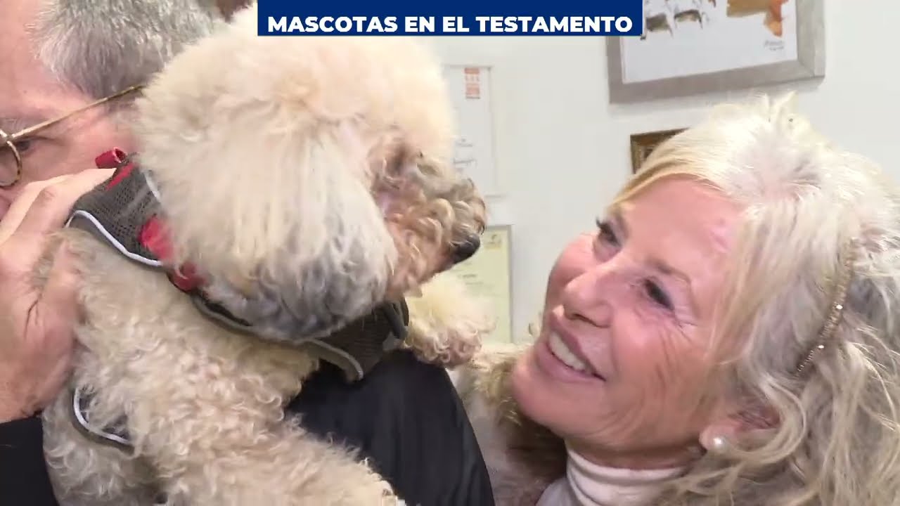 ¿Pueden heredar las mascotas? La respuesta es sí, aunque no de manera directa.