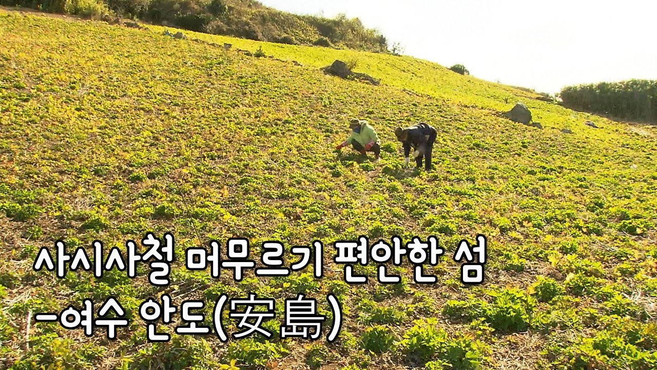 여수 금오열도 중 가장 긴 역사를 자랑하는 안도(安島) [Korea Island]