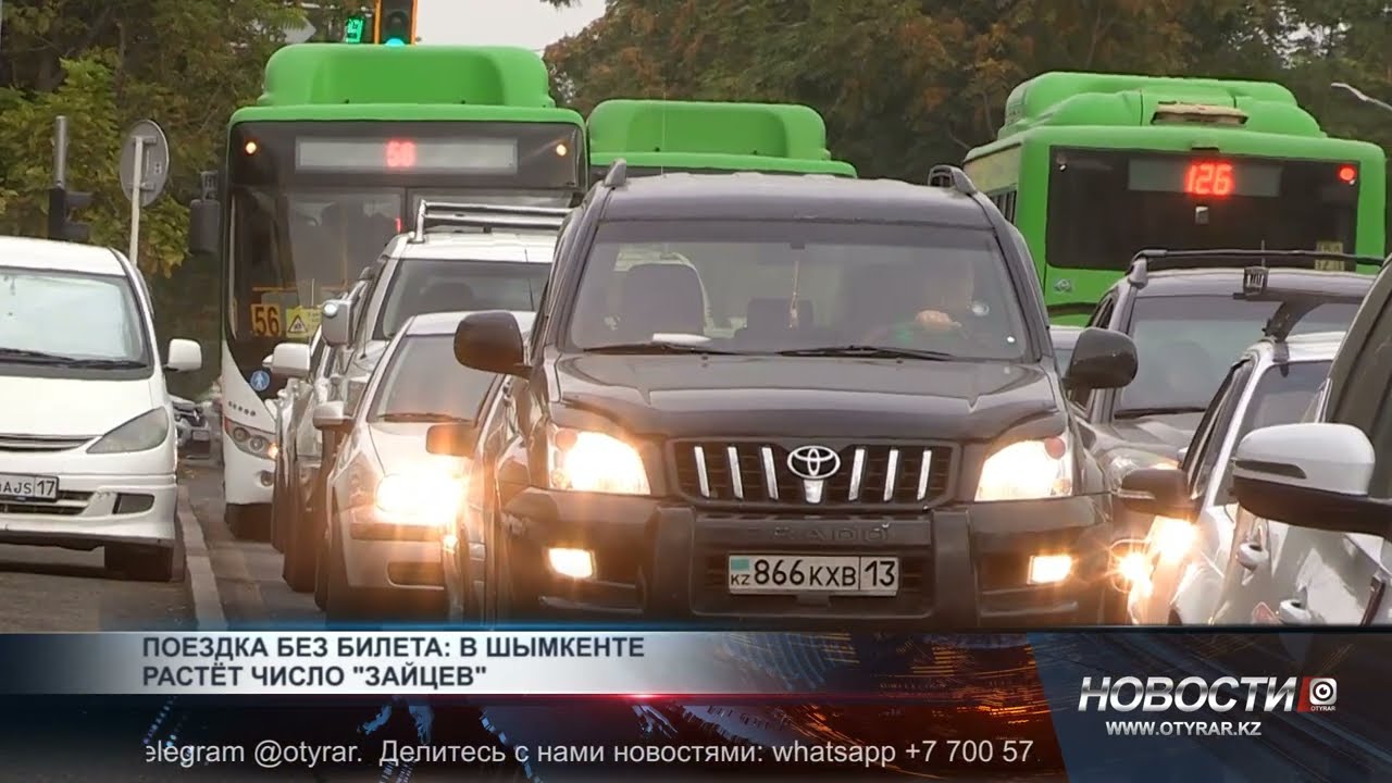 Поездка без билета: в Шымкенте растёт число 