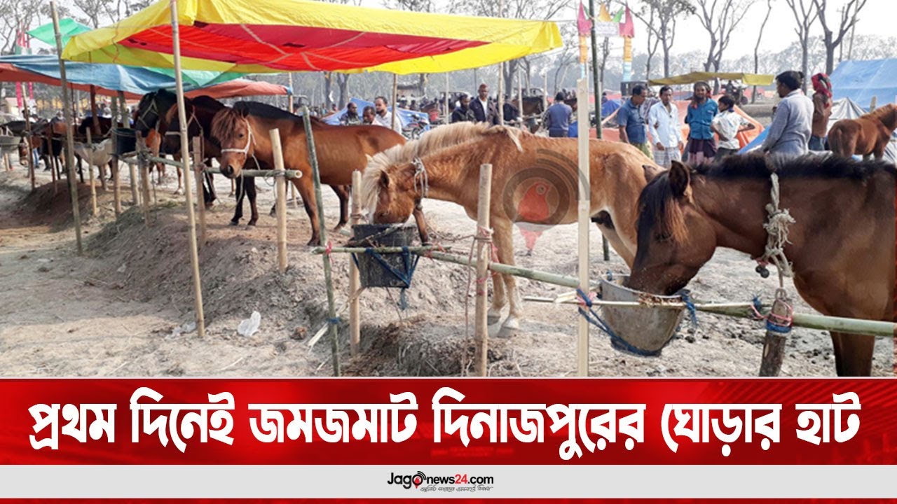 প্রথম দিনেই জমজমাট দিনাজপুরের ঘোড়ার হাট  || Jago News