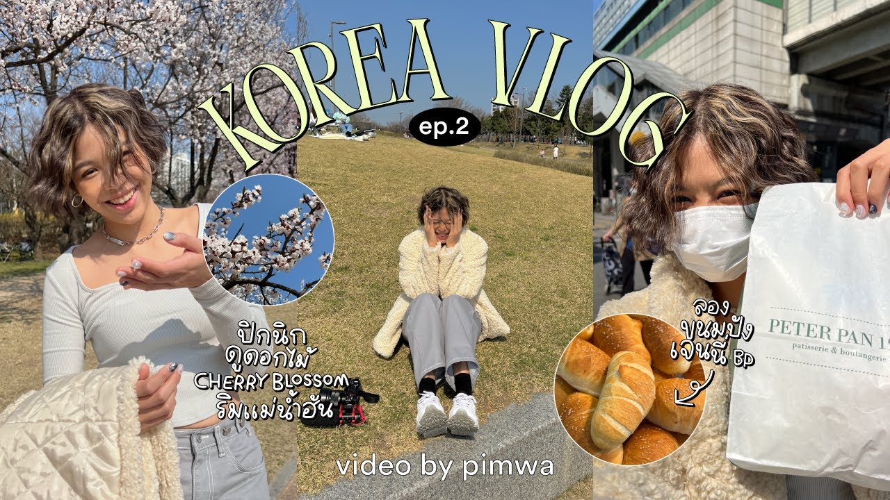 Korea Vlog🌸Cherry Blossom Picnic, Han River, Famous Bakery | Pimwa In Korea