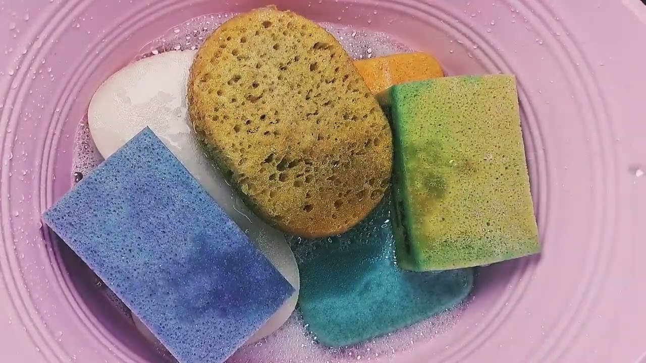 asmr variety pastey sponge rinse splash of PoP sponge squeeze