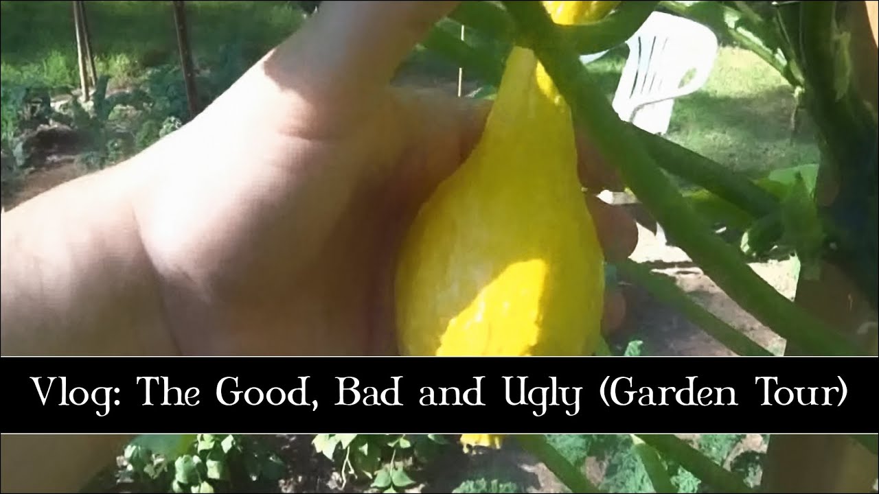 Vlog: The Good, Bad and Ugly (Garden Tour)