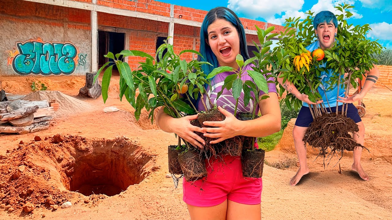 Plantamos FRUTEIRAS no quintal da OBRA da nossa CASA NOVA!!🌳🍊