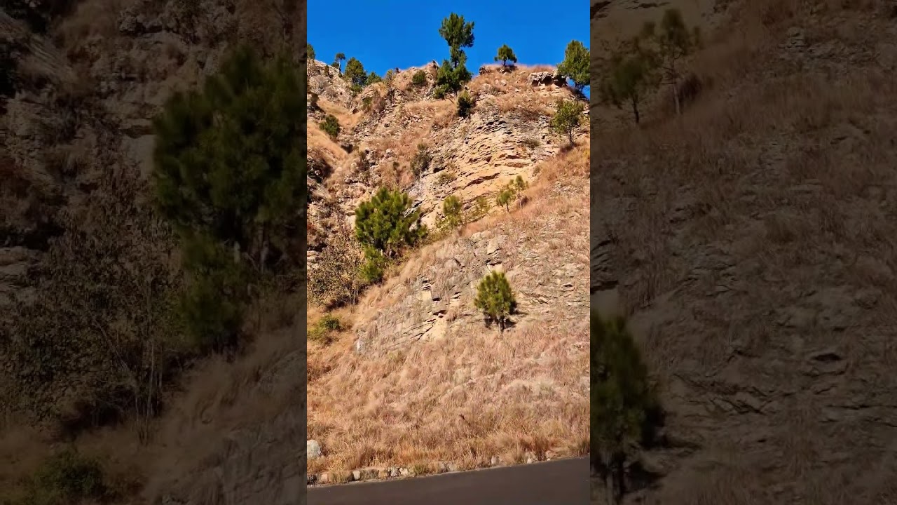 Galyat Mountain Range, Nathiagali Road #shorts #galyat #abbottabad #nathiagaliroad #pakistan