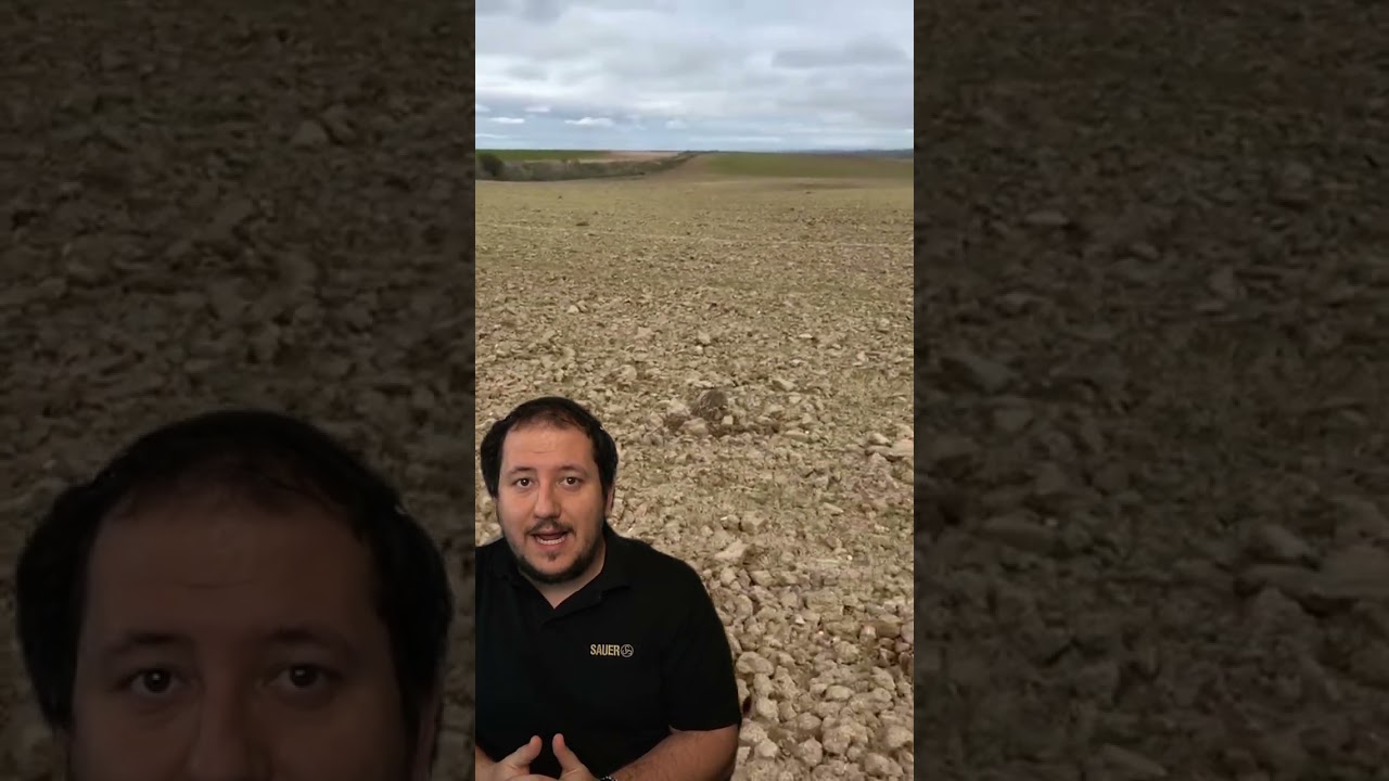 DOS LIEBRES en la MISMA CAMA