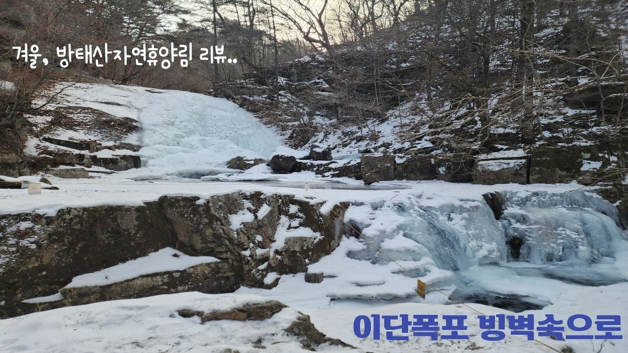 겨울 방태산자연휴양림 리뷰