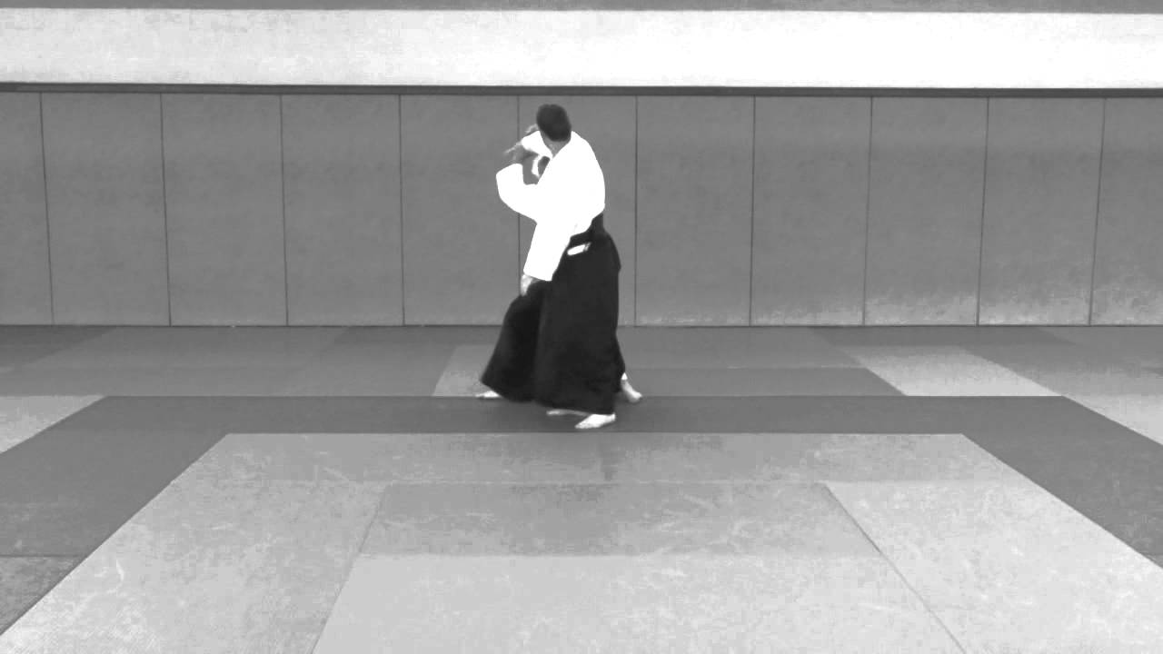 TANTO DORI - CHUDAN TSUKI - UCHI KAITEN SANKYO.mov