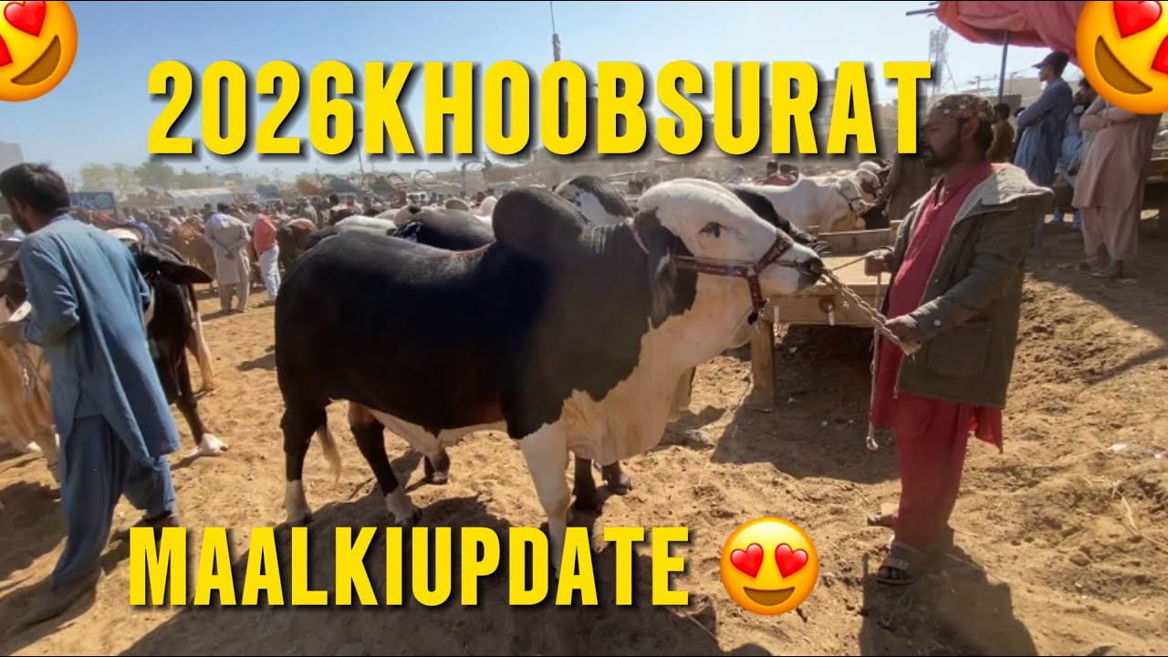  Malir Mandi Karachi Latest Rates Update  27 January 2026 