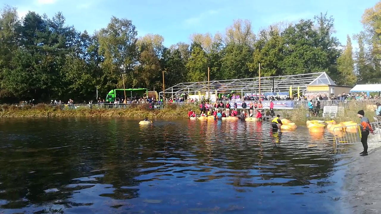 Pompoen regatta