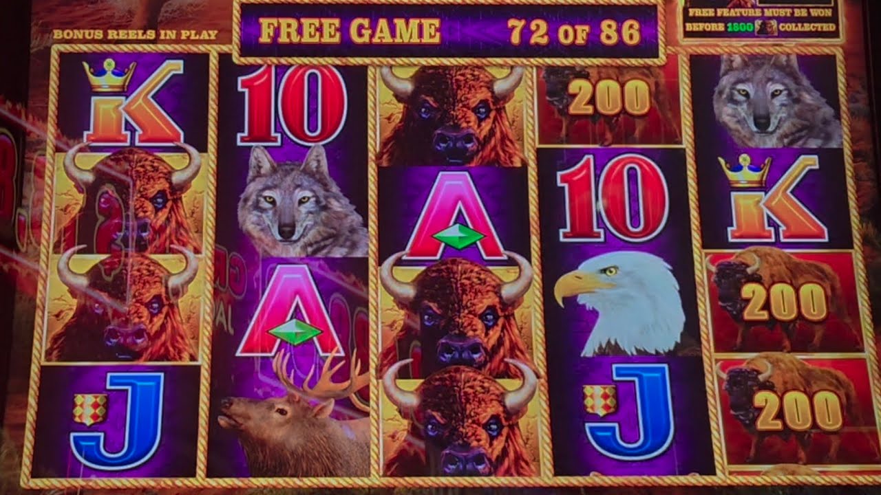 Buffalo Link Handpay on a Small Bet with Massive Free Games