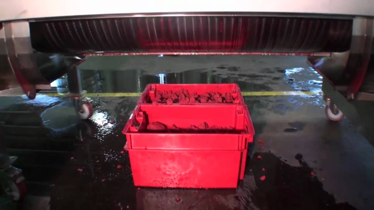 NIKO raspberries processing, production od raspberry juice June 2011
