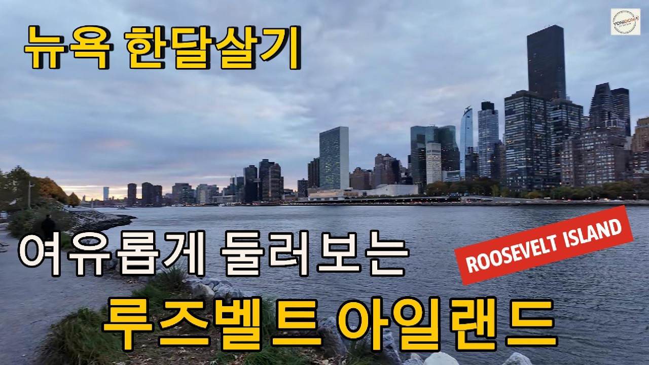 뉴욕 한달살기 EP.18 | 루즈벨트 아일랜드를 다시 다녀왔어요 (뉴욕트램 · 뉴욕야경 · 루즈벨트 포 프리덤 공원 · 스몰폭스병원 · 퀸즈보로다리 · 롱아일랜드)