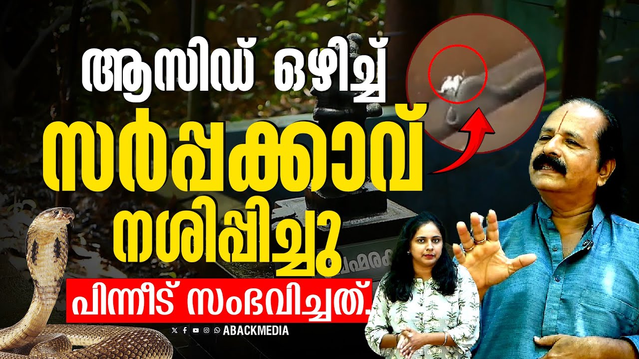 സർപ്പക്കാവുകൾ തകർത്താൽ 7 തലമുറയ്ക്ക് ശാപമോചനം കിട്ടില്ല