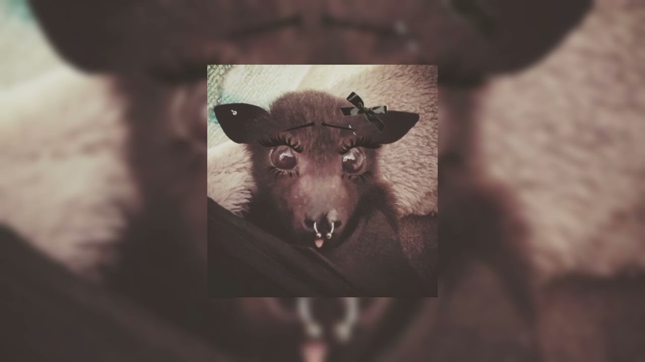 𝚂𝙿𝙰𝚁𝙺𝙴𝙻𝙴𝚉 𝚋𝚢 𝚉𝙴𝚁𝙾 - ¡𝙎𝙇𝙊𝙒𝙀𝘿! 