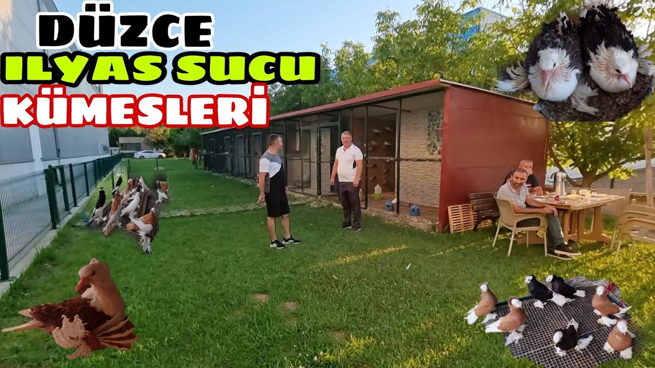 HARİKA MEKANDA ÇOK GÜZEL KÜMESLER VE KIVIRCIK BALON ALMAN DEMKEŞ POSTA ÜRETİMİ İLYAS SUCU KÜMESLERİ