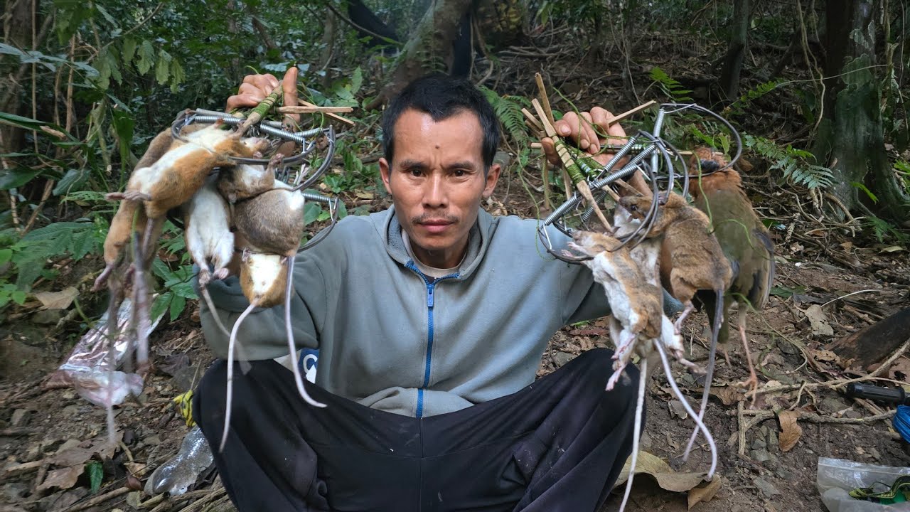 Going into the forest to trap rats. 26/12/2025