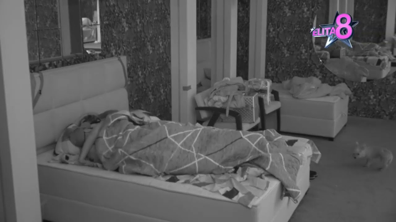 Elita 8: Luka i Aneli ne mogu da odole jedno drugom, pljušte vreli poljupci - 08.05.2025.