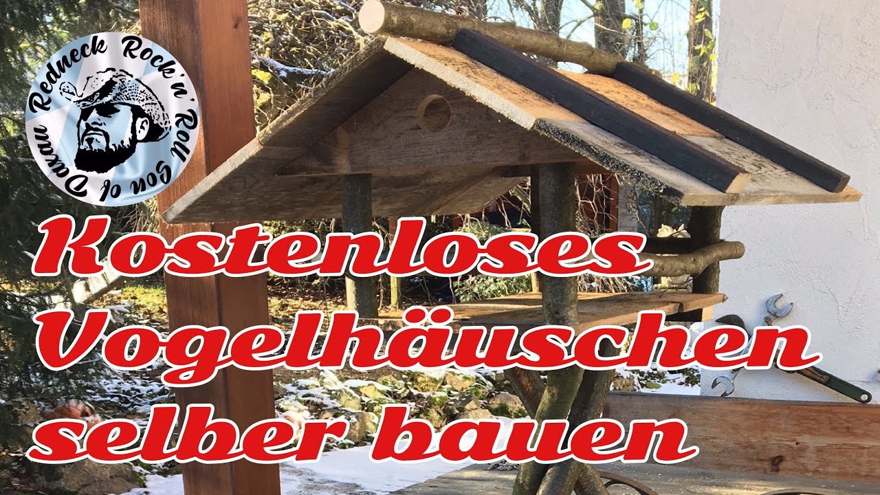 Vogelhäuschen selber bauen, Vogelhaus Anleitung ganz einfach! Vogelfutter Bird house make, tutorial