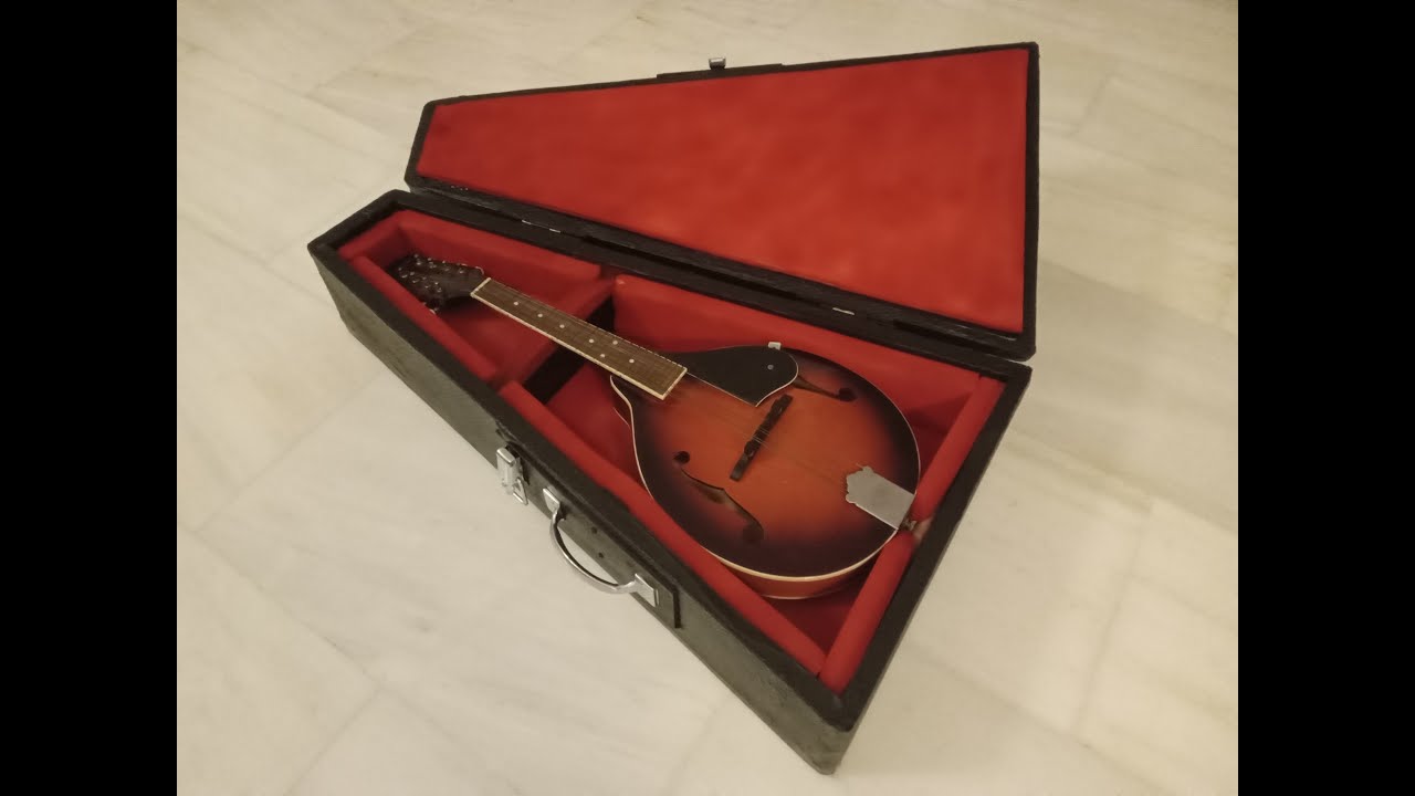 I built a Mandolin case!