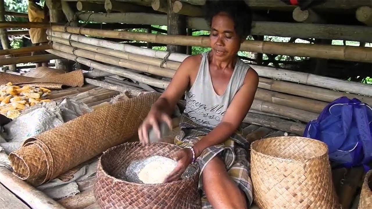 Solar AgroProcessing Power Stations &ndash; Village Infrastructure Angels VIA