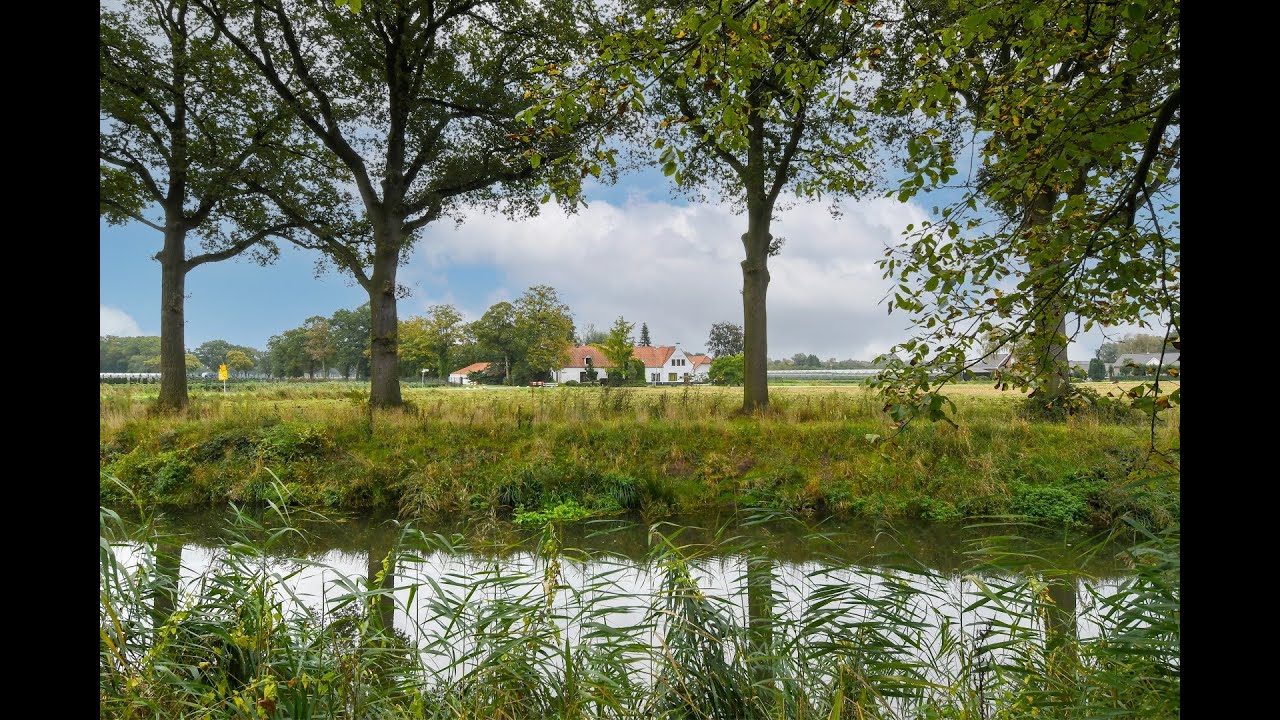 Helenaveenseweg 110A Grashoek
