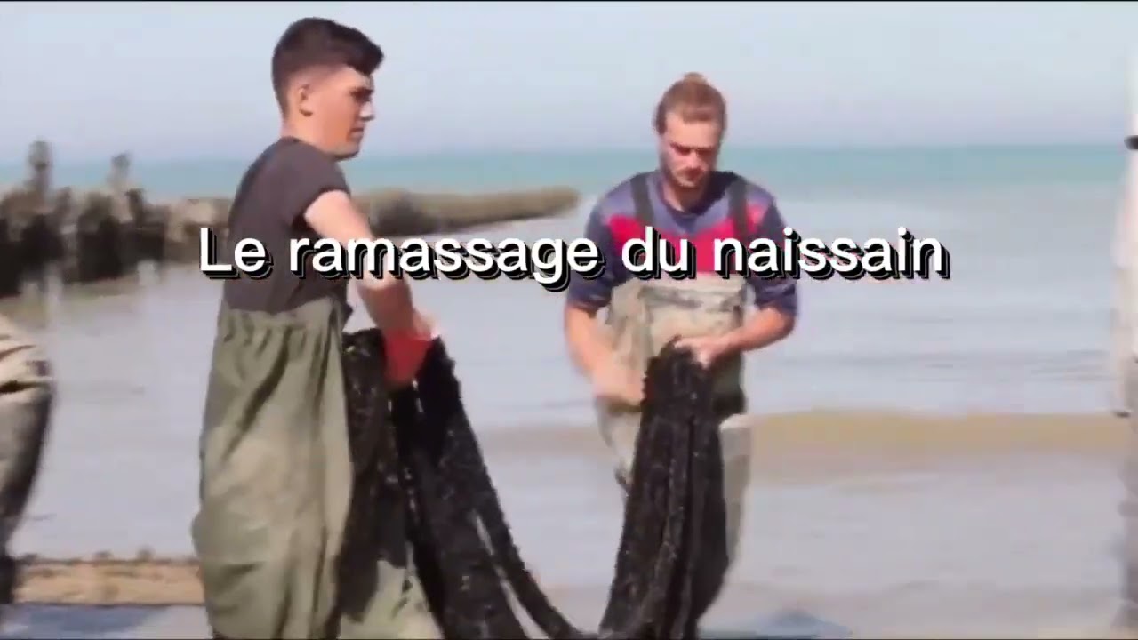 Je filme le métier qui me plaît : 