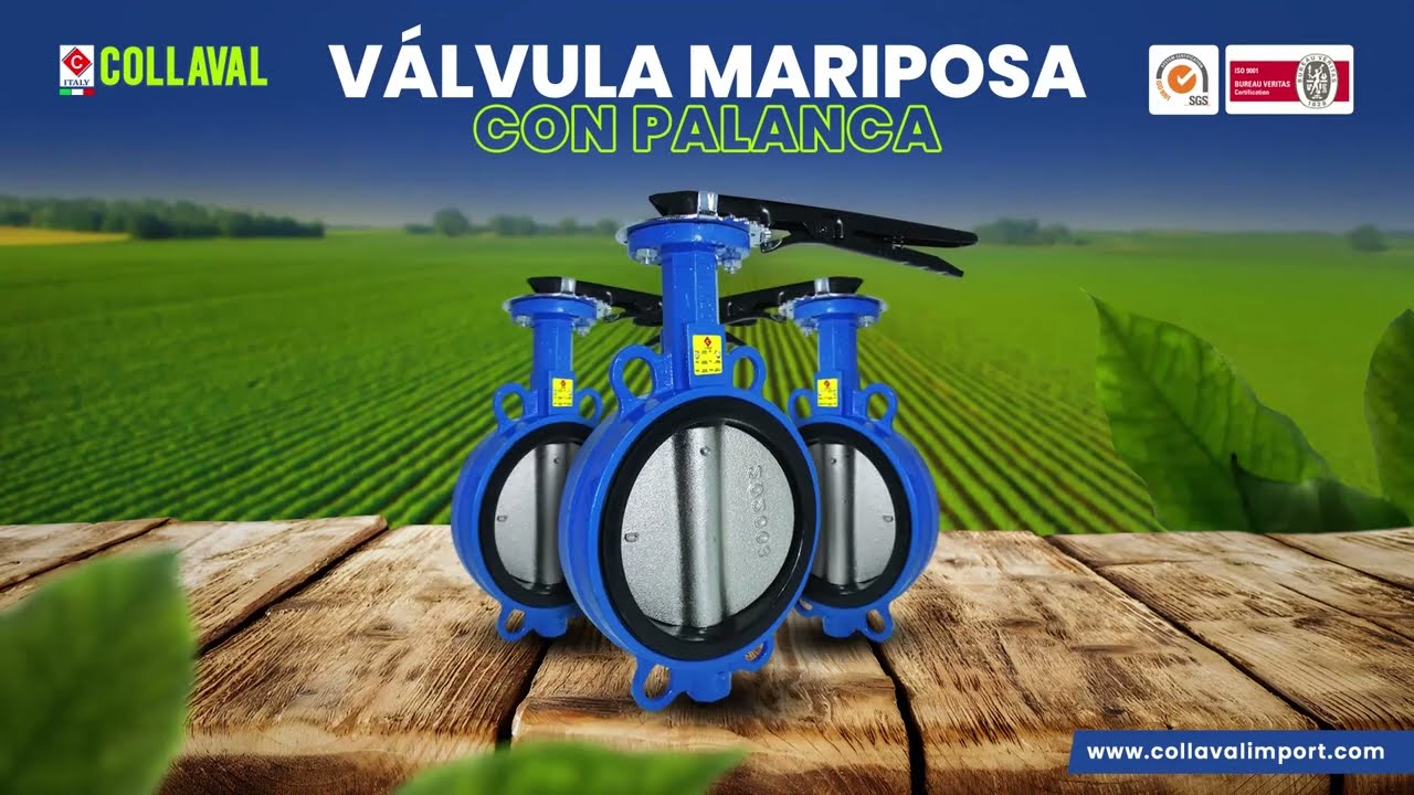 V&Aacute;LVULAS MARIPOSA DE HIERRO DUCTIL CITALY