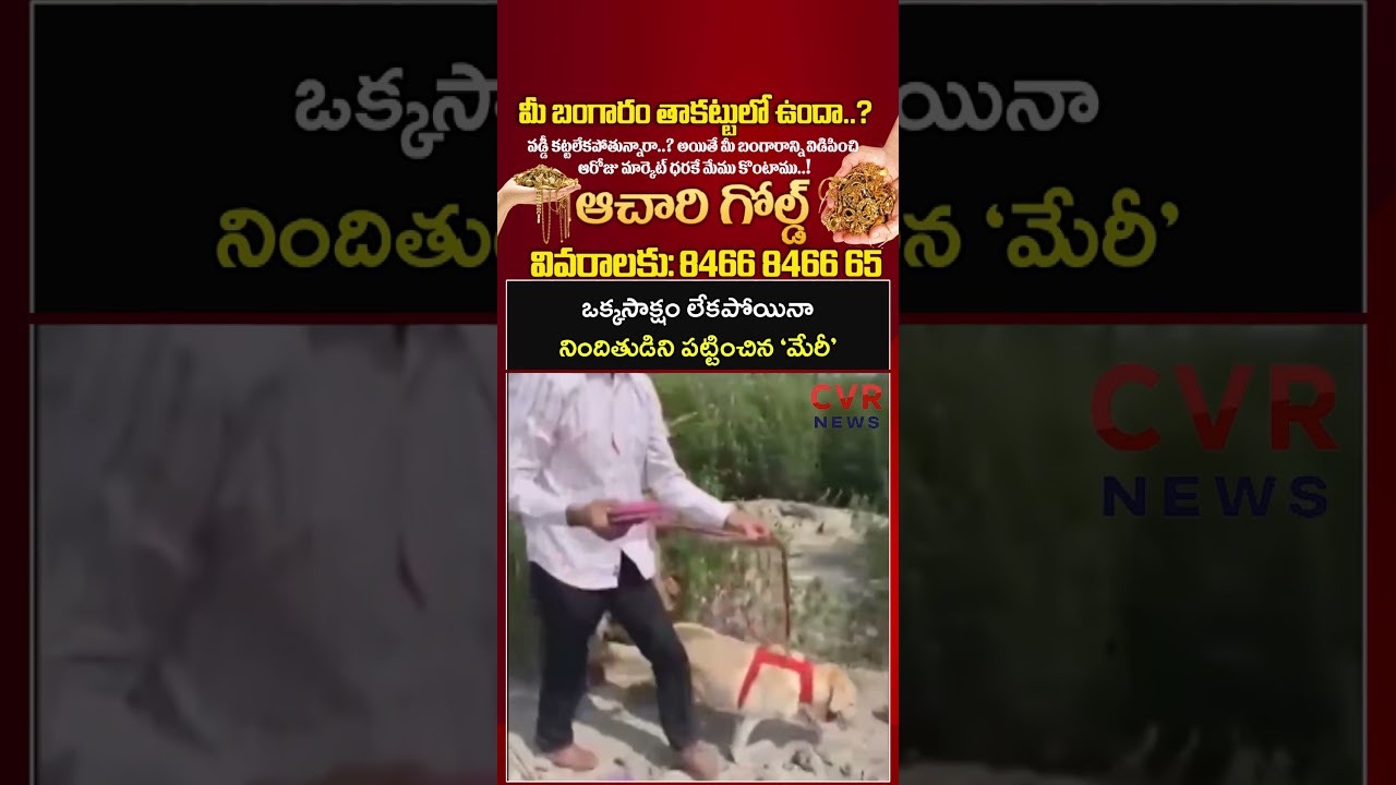 ఒక్కసాక్షం లేకపోయినా నిందితుడిని పట్టించిన &lsquo;మేరీ&rsquo; | Virul | CVR NEWS