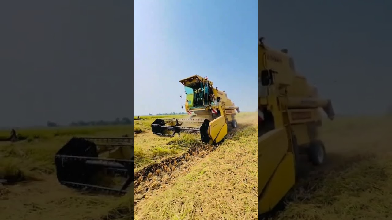#harvestingmachine #8070 #8080 #8060 #farming #agriculture #automobile #barley #combine2025