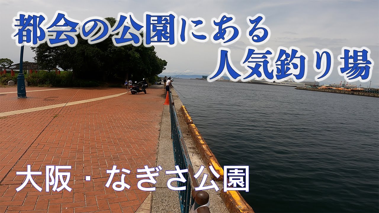 【釣り場動画#98】大阪のなぎさ公園は駐車場無料の釣り場でタコ釣りタチウオ釣りも楽しめる、家族連れでも安心の人気釣り場