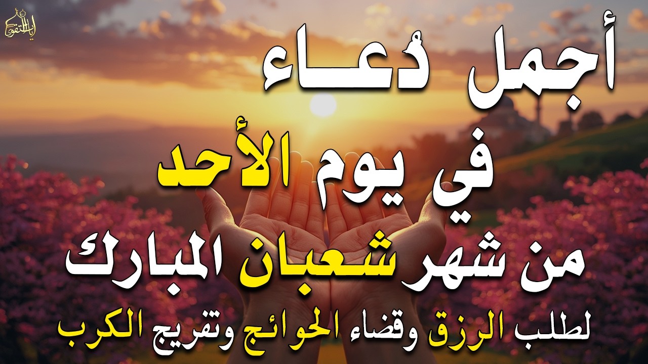 دعاء فى يوم السبت المستجاب دعاء في يوم 19 من شهر شعبان للرزق والشفاء العاجل وقضاء الحوائج 🤲(4k)