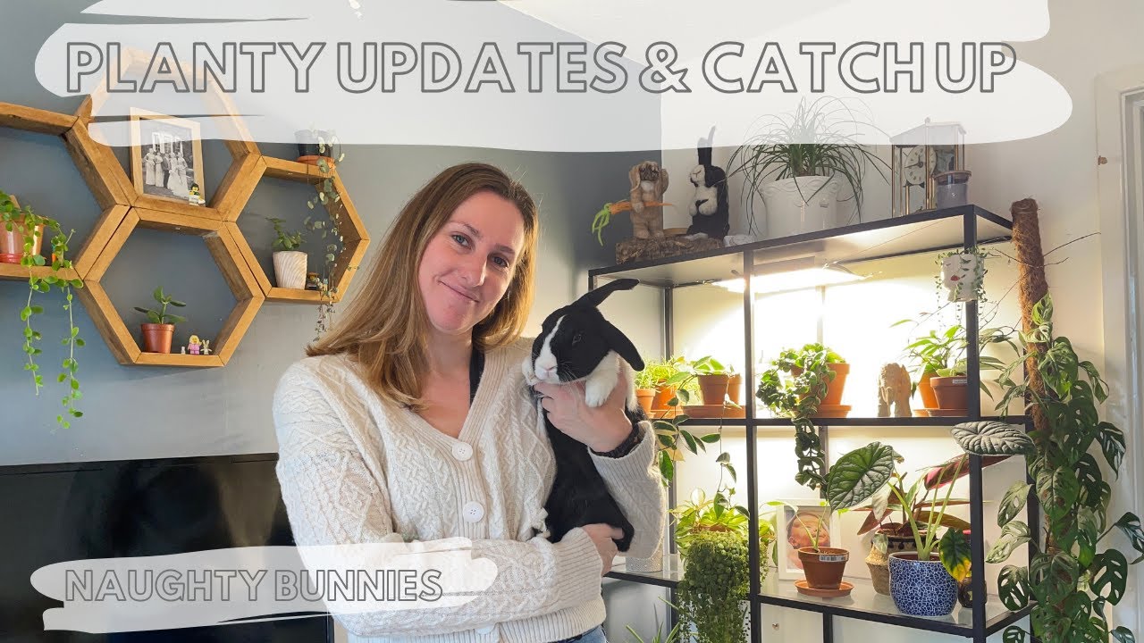 HOUSEPLANT UPDATES: Naughty bunnies & catch up chat!