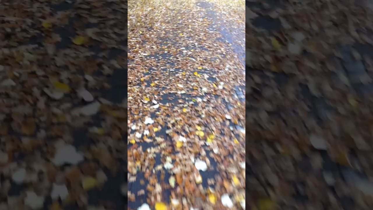 Autumn wonderland - Bremen Deutschland