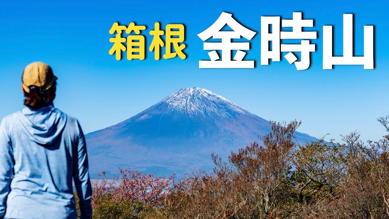 【金時山】紅葉の箱根で山登り | 公時神社スタート（周回ルート）【初心者おすすめコース】